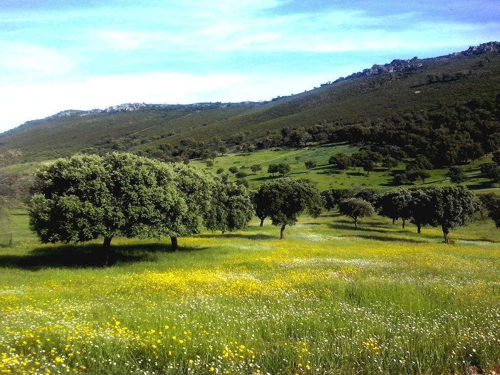 Casa Rural La Sierra de Monfragüe Malpartida De Plasencia Exterior foto